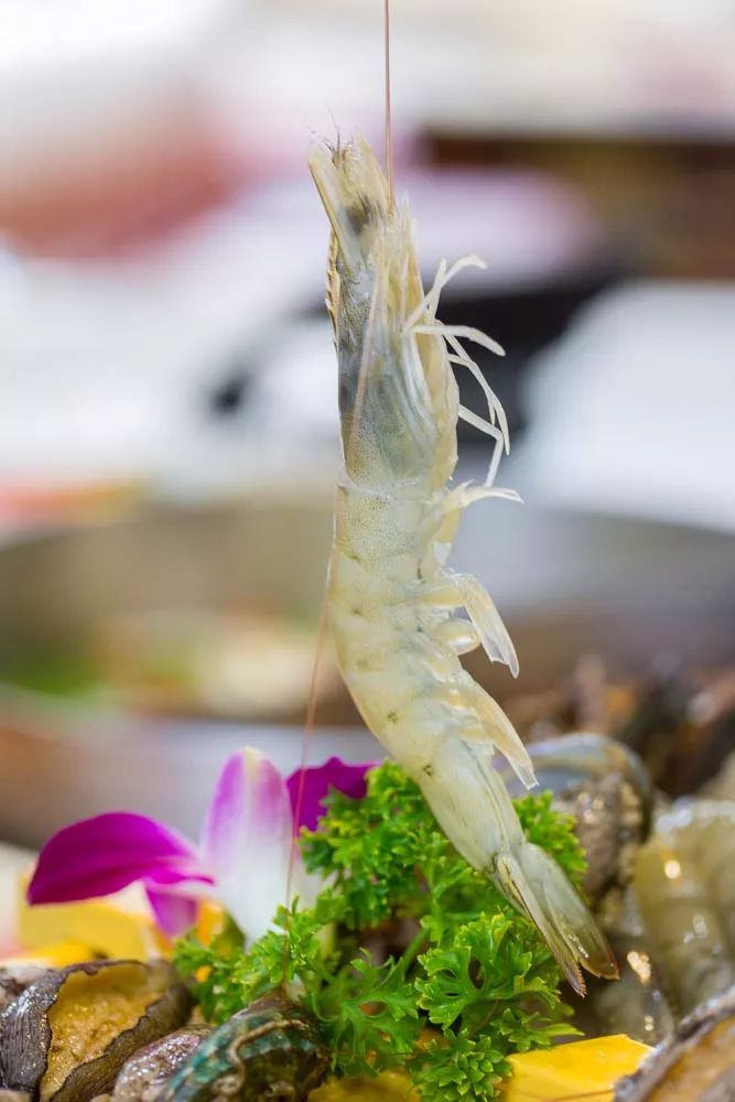 1元/只海白虾，2.8元/只鲍鱼，3.8元/只碳烤生蚝！啤酒喝一瓶还送一瓶！这家人气平价海鲜火锅老店让你嗨翻整个今夏