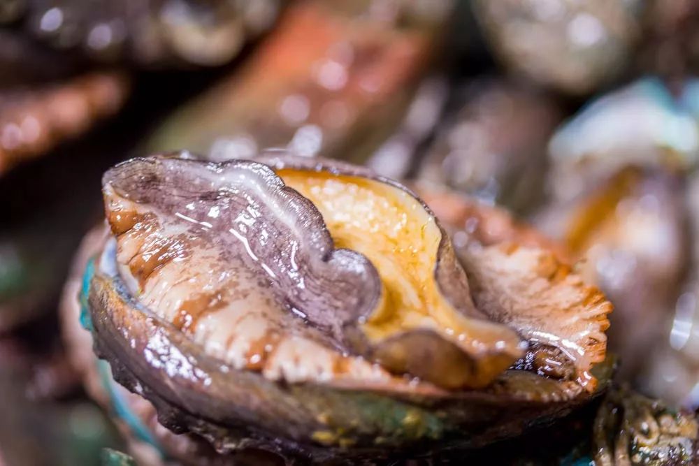 1元/只海白虾，2.8元/只鲍鱼，3.8元/只碳烤生蚝！啤酒喝一瓶还送一瓶！这家人气平价海鲜火锅老店让你嗨翻整个今夏