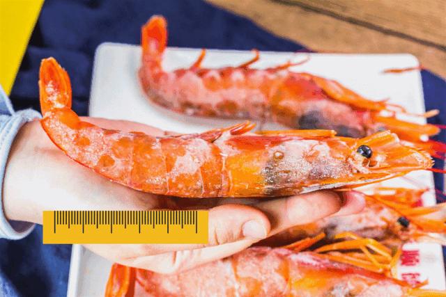 1元/只海白虾，2.8元/只鲍鱼，3.8元/只碳烤生蚝！啤酒喝一瓶还送一瓶！这家人气平价海鲜火锅老店让你嗨翻整个今夏