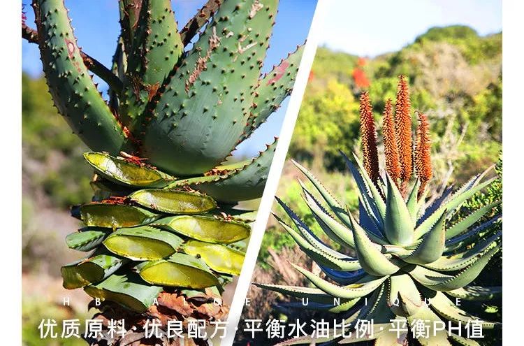 芦荟胶补水保湿提亮肤色晒后修复,万能芦荟胶补水美白修复敏感肌