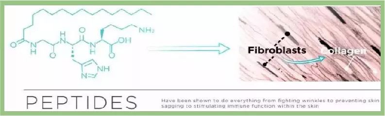 芦荟胶补水保湿提亮肤色晒后修复,万能芦荟胶补水美白修复敏感肌