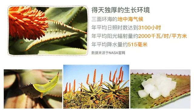 芦荟胶补水保湿提亮肤色晒后修复,万能芦荟胶补水美白修复敏感肌