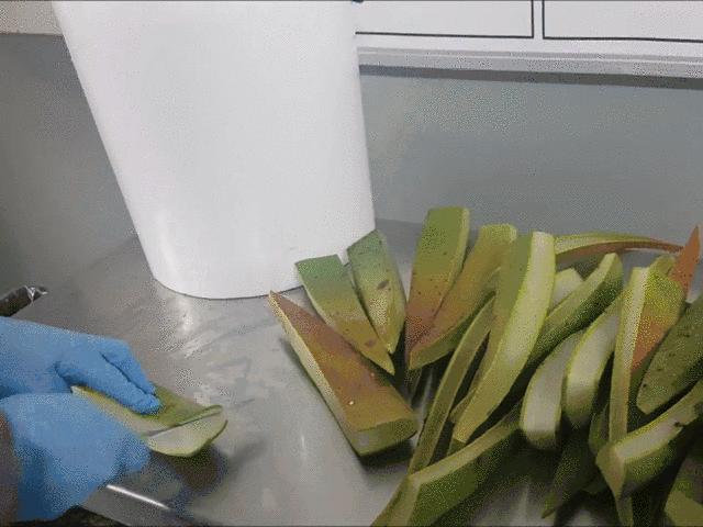 芦荟胶补水保湿提亮肤色晒后修复,万能芦荟胶补水美白修复敏感肌