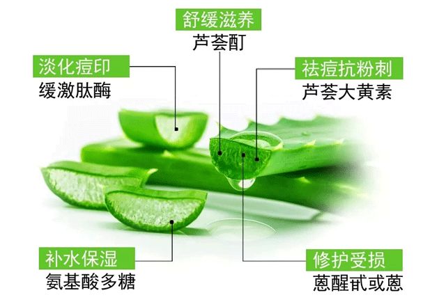 芦荟胶补水保湿提亮肤色晒后修复,万能芦荟胶补水美白修复敏感肌