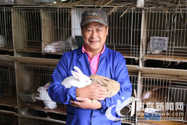 萌萌哒的高山“音乐兔”让村民笑开颜