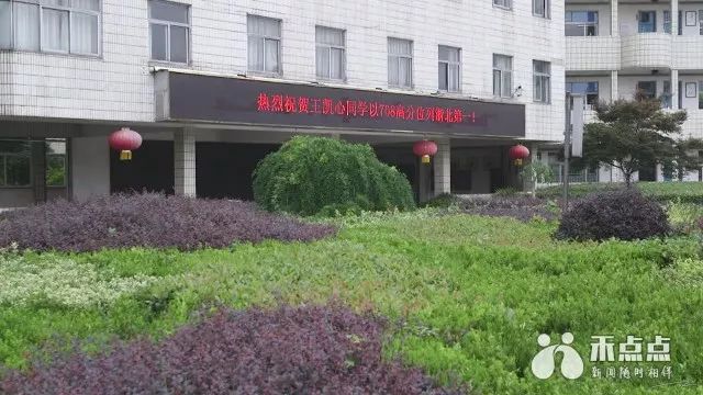 暑假教育培训现状,暑期培训班火爆热闹背后暗藏乱象