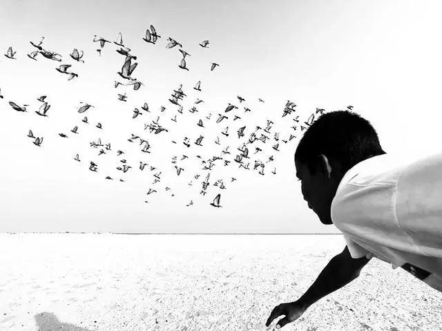 手机摄影大师级作品,手机拍出的大片风景摄影作品