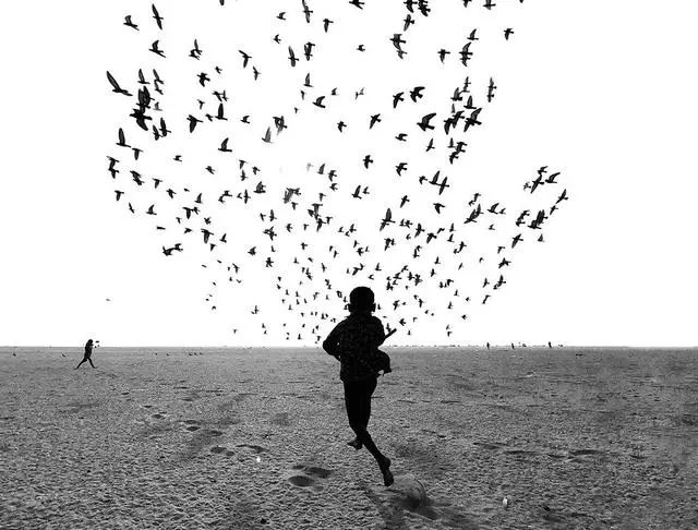 手机摄影大师级作品,手机拍出的大片风景摄影作品