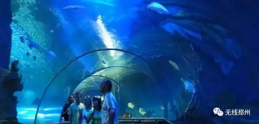 越南一日游直播,越南芽庄跟团游直播