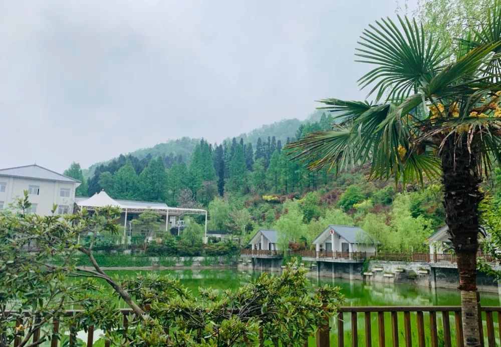 竹溪县龙王垭景区,竹溪龙王垭