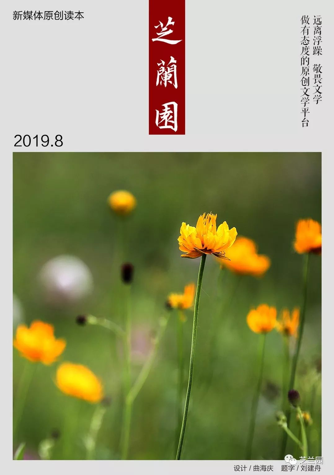 「小说」张俊芳丨小文（一）