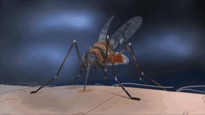 植物萃取喷雾防蚊驱蚊,驱蚊喷雾植物萃取温和不刺激