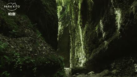 植物萃取喷雾防蚊驱蚊,驱蚊喷雾植物萃取温和不刺激
