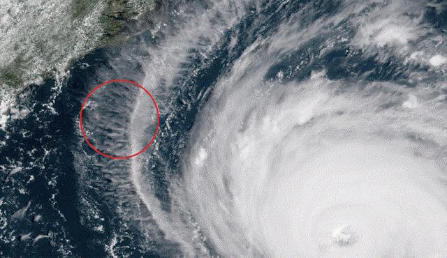 如何用计算机解微分方程,机器学习和偏微分方程交叉