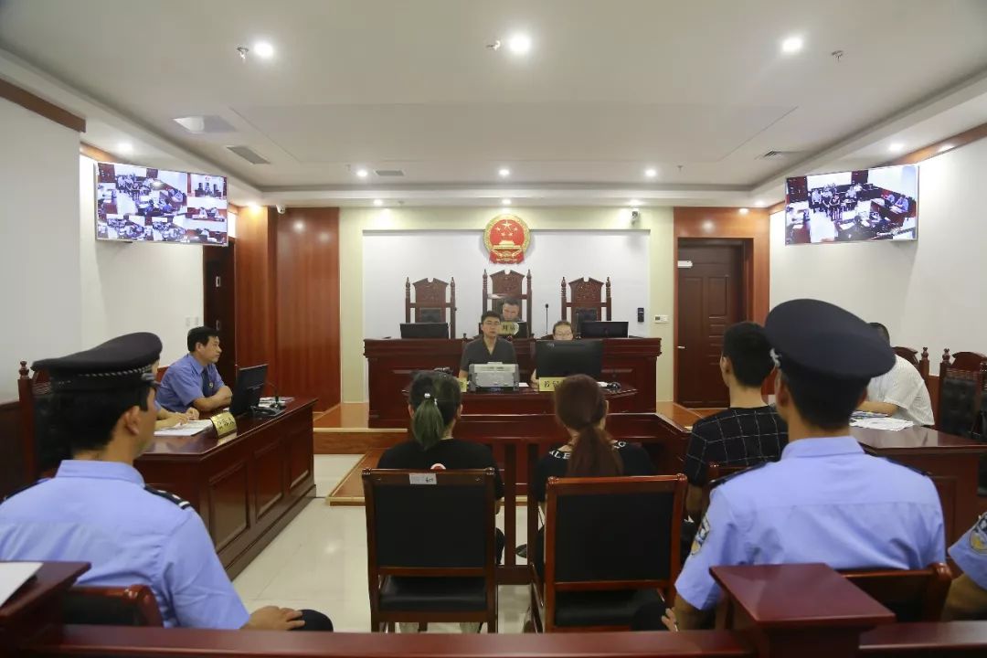 袋鼠精的骗局,袋鼠精真的假的