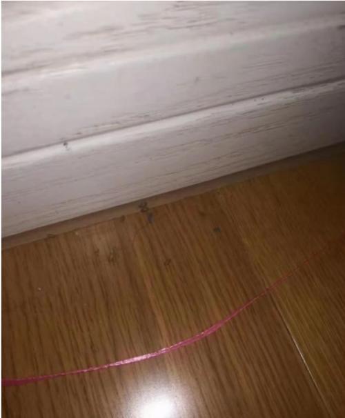 南京金浦紫御东方小区怎么样,南京金浦紫御东方花园