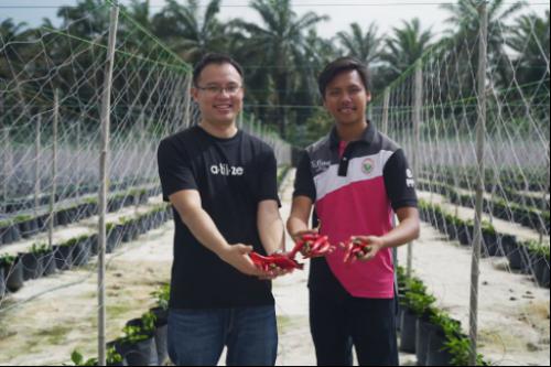 阿里云合作伙伴有哪些,阿里云牵手马来西亚科技公司