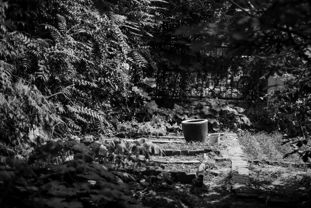 尼康佳能宾得全幅相机比拼,尼康索尼佳能50mm1.2镜头对比