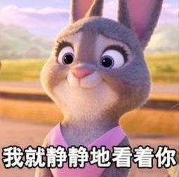 閾惰绉佽嚜鍔炵悊etc鎬庝箞瑙e喅,閾惰鍛樺伐绌跨ń鏌ユ湇鎷﹁溅鍔炵悊etc