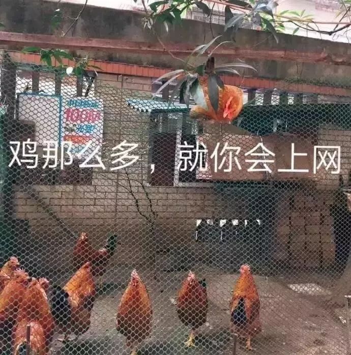 涨价函明细,涨价函的行情