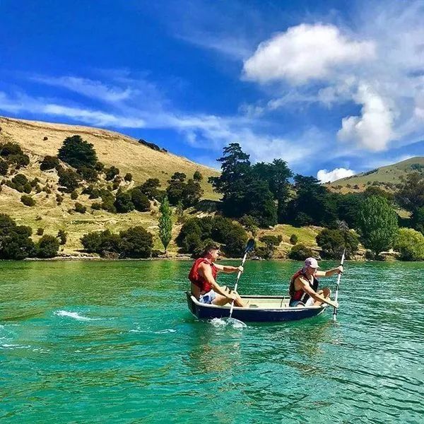 在新西兰留学是一种怎样的体验,新西兰真的有那么好吗