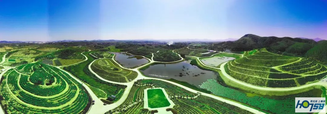 怀集本地知识产权优势,怀集第三方知识产权优势