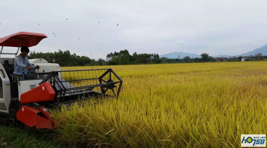 怀集本地知识产权优势,怀集第三方知识产权优势