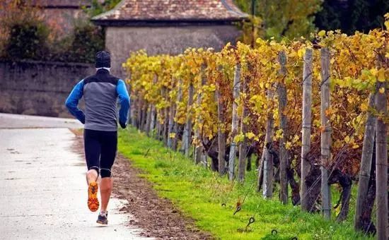 老中医用西洋参养生,西洋参的养生方法