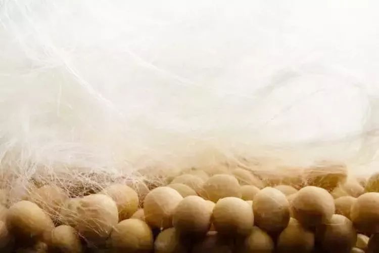 最可以让脚变臭的袜子,有哪些好用不会脚臭的袜子