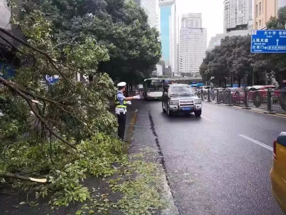 新车脱审年检,胆大新手提车直接独自上路
