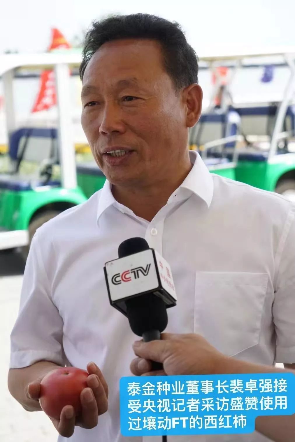 用它种菜比化肥还好,蔬菜制种问题