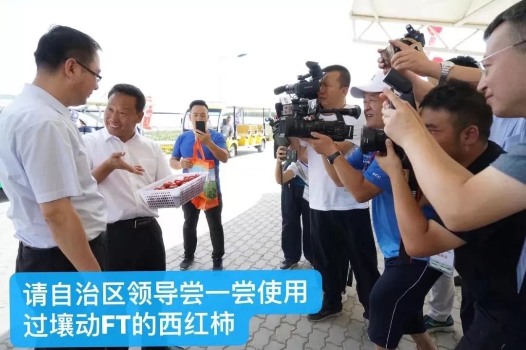 用它种菜比化肥还好,蔬菜制种问题