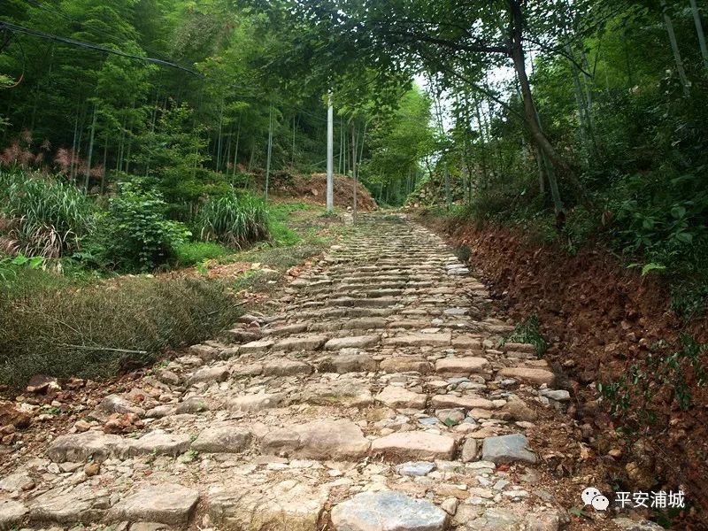 骞冲畨娴﹀煄鍓焊鍥剧墖,骞冲畨娴﹀煄