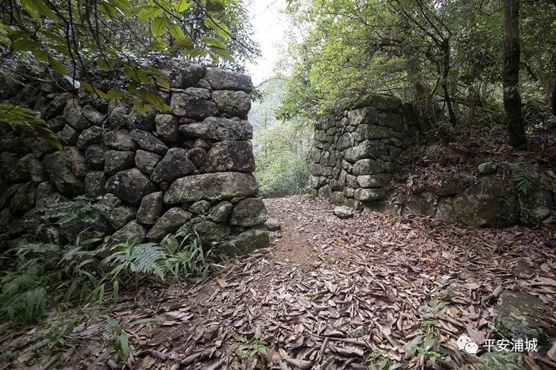 骞冲畨娴﹀煄鍓焊鍥剧墖,骞冲畨娴﹀煄
