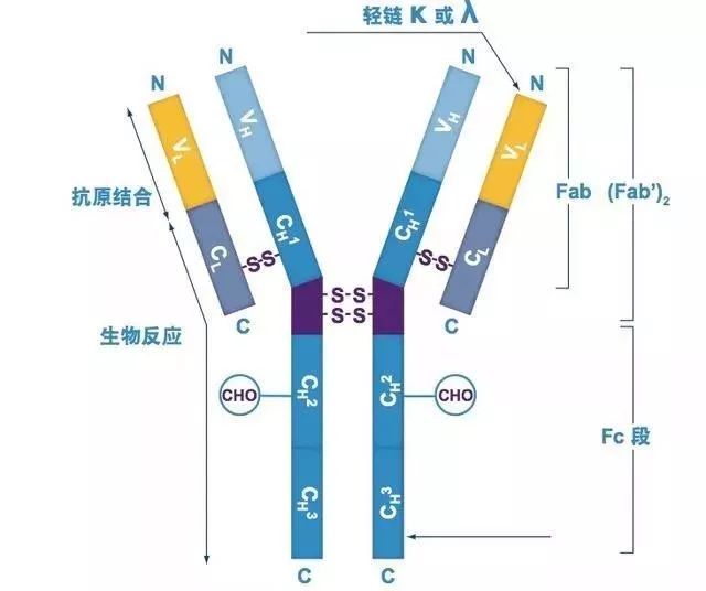 护肤品用了没效果能退款吗,护肤品用了发现是假货可以退吗