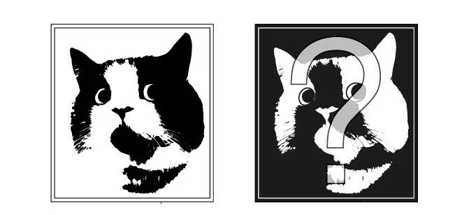 猫为什么高冷一点面子都不给猫,猫咪主子你的高冷去哪里了