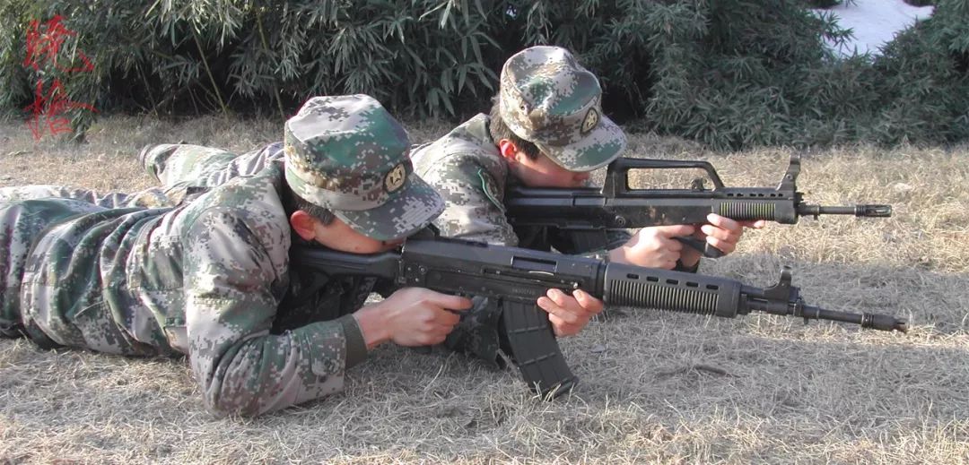 03式自动步枪和95式步枪谁好,03式步枪对比95步枪