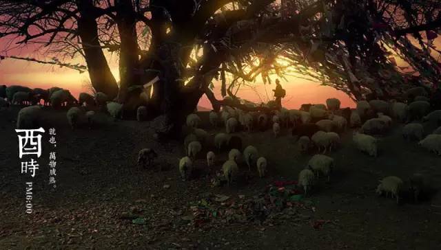 读懂中国十二时辰领悟千年大智慧,读懂了12时辰也就读懂了人