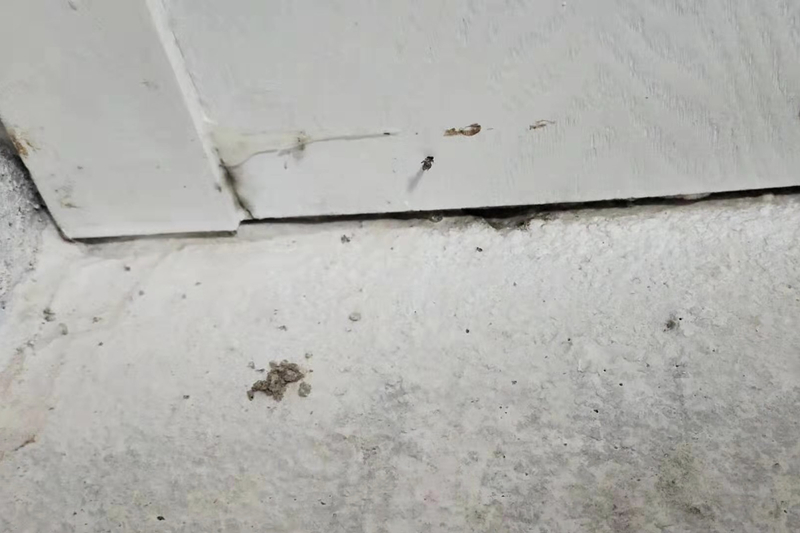 木地板被泡了怎么办,木地板被水泡了不严重怎么索赔