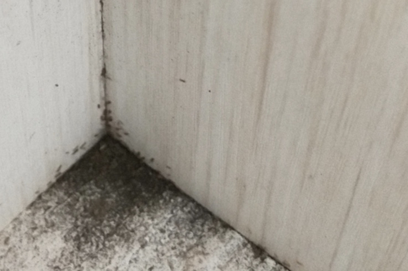 木地板被泡了怎么办,木地板被水泡了不严重怎么索赔