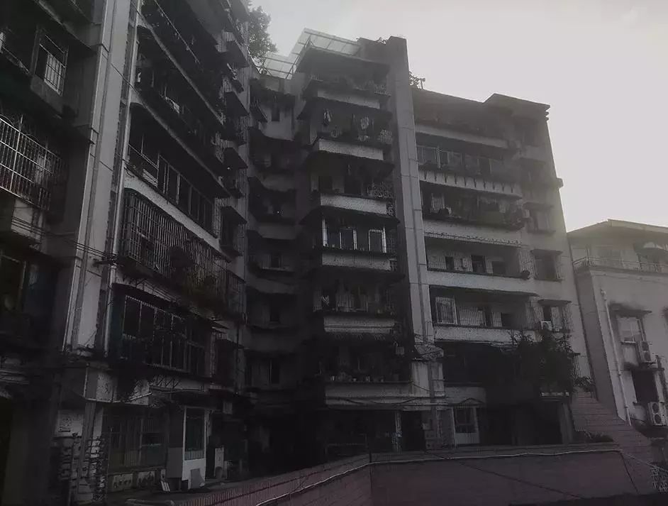 保时捷打人女最新处理,保时捷打人女车主照片曝光