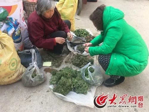 再见红利的图片,红利市场图片