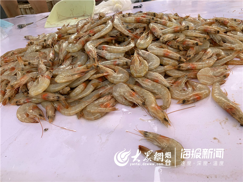 再见红利的图片,红利市场图片