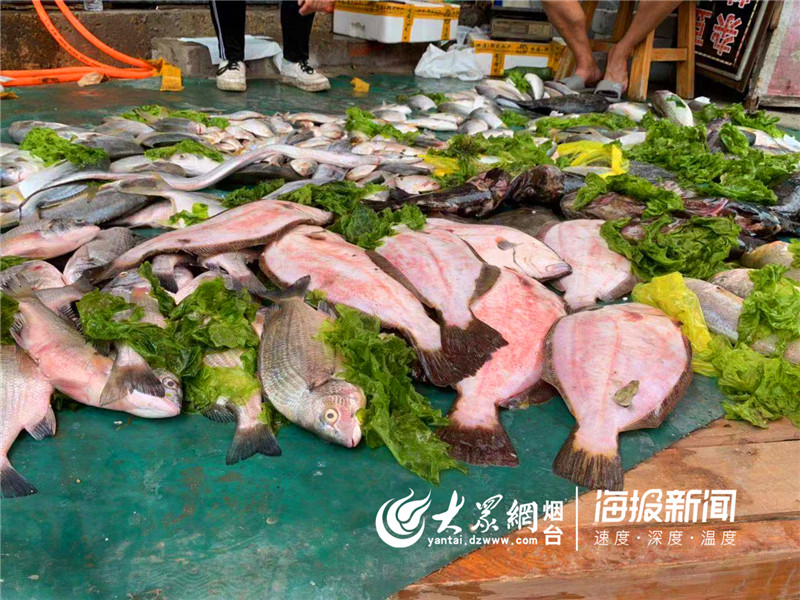 再见红利的图片,红利市场图片