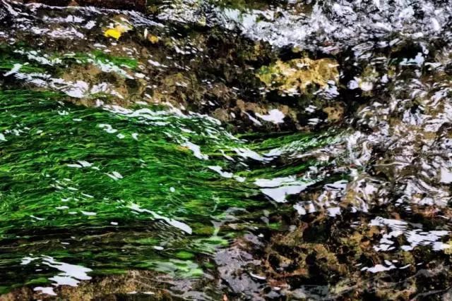 雨天丽江古城旅游攻略,来丽江看雨中的丽江古城