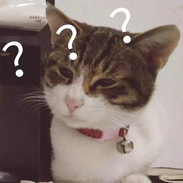 风很大美赞臣,风很大的国产奶粉