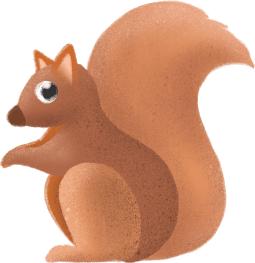 中药红花的妙用,每日一药西红花