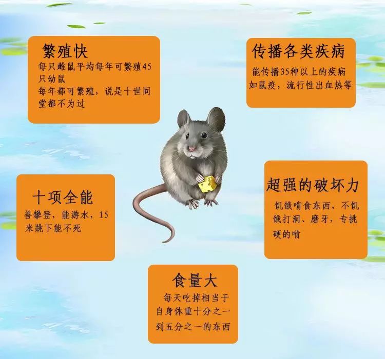 过街老鼠人人喊打的目的,创卫进行时健康素养66条