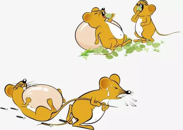 过街老鼠人人喊打的目的,创卫进行时健康素养66条