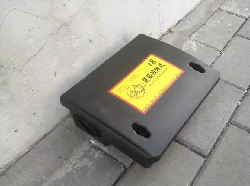 过街老鼠人人喊打的目的,创卫进行时健康素养66条